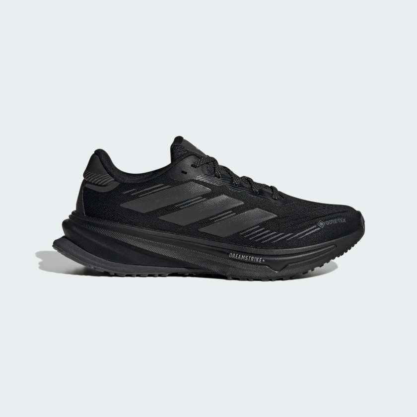 Кросівки Supernova Rise GTX Running