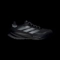 Кросівки Supernova Rise GTX Running