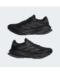 Кросівки Supernova Rise GTX Running