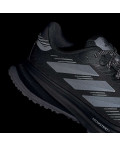 Кросівки Supernova Rise GTX Running
