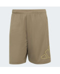 Шорти WORKOUT ESSENTIALS BASE PIQUE BIG LOGO