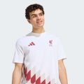 Футболка Liverpool FC Stadium Graphic