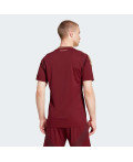 Домашнє джерсі AS Roma 24/25