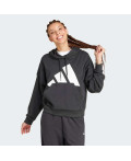 Худі Essentials Big Logo French Terry Loose