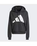 Худі Essentials Big Logo French Terry Loose
