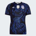 Выездное джерси Argentina 26