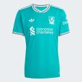 Джерсі Liverpool FC 25/26 Third