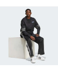 Спортивні штани Adicolor Baggy Fit Firebird