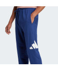 Джогери Essentials Big Logo French Terry