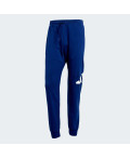 Джогери Essentials Big Logo French Terry