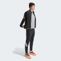 Спортивні штани adi365 Iconic Running