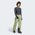 Штани Terrex Multi 2 Layer CLIMAPROOF Insulated