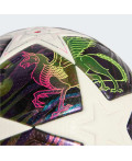 М'яч UEFA Champions League Final Pro