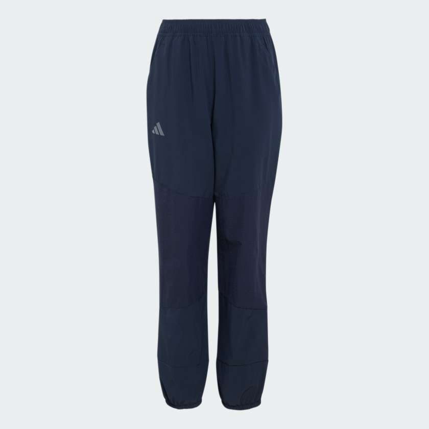 Брюки Terrex CLIMA365 Multi Kids
