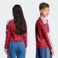 Домашнє джерсі з довгим рукавом Liverpool FC 26/27 Home Kids