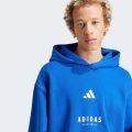 Худі ALL SZN Fleece Graphic