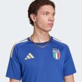 Домашнє джерсі Italy 26 Fan