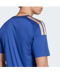 Домашнє джерсі Italy 26 Fan
