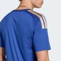 Домашнє джерсі Italy 26 Fan