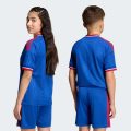 Виїзне джерсі Manchester United 26/27 Kids