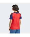 Домашнє джерсі Spain 26 Home Replica