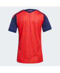 Домашнє джерсі Spain 26 Home Replica