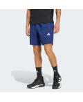 Шорти WORKOUT ESSENTIALS BASE WOVEN