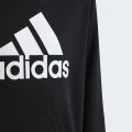 Худі Big Logo Essentials Cotton