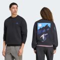 Свитшот TERREX SNOW SPORT GRAPHIC CREW