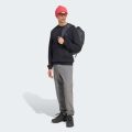 Свитшот TERREX SNOW SPORT GRAPHIC CREW