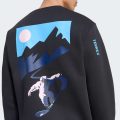 Свитшот TERREX SNOW SPORT GRAPHIC CREW