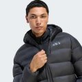 Парка Terrex Multi CLIMAWARM Synthetic Down