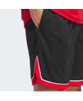 Шорти adidas Basketball Badge of Sport