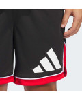Шорти adidas Basketball Badge of Sport