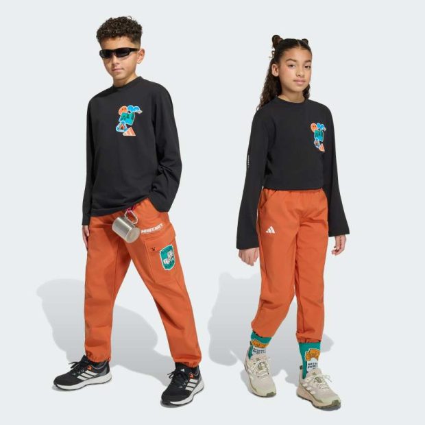 Брюки Adidas Minecraft Terrex CLIMAWARM Softshell