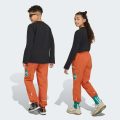 Брюки Adidas Minecraft Terrex CLIMAWARM Softshell