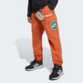 Брюки Adidas Minecraft Terrex CLIMAWARM Softshell