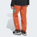 Брюки Adidas Minecraft Terrex CLIMAWARM Softshell