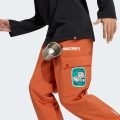 Брюки Adidas Minecraft Terrex CLIMAWARM Softshell
