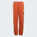 Брюки Adidas Minecraft Terrex CLIMAWARM Softshell