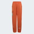 Брюки Adidas Minecraft Terrex CLIMAWARM Softshell
