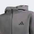 Толстовка Z.N.E. FULL ZIP