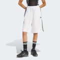 Спортивні штани Adilenium Season 4 Teamgeist Oversized