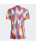 Джерсі Arsenal 25/26 Pre-Match