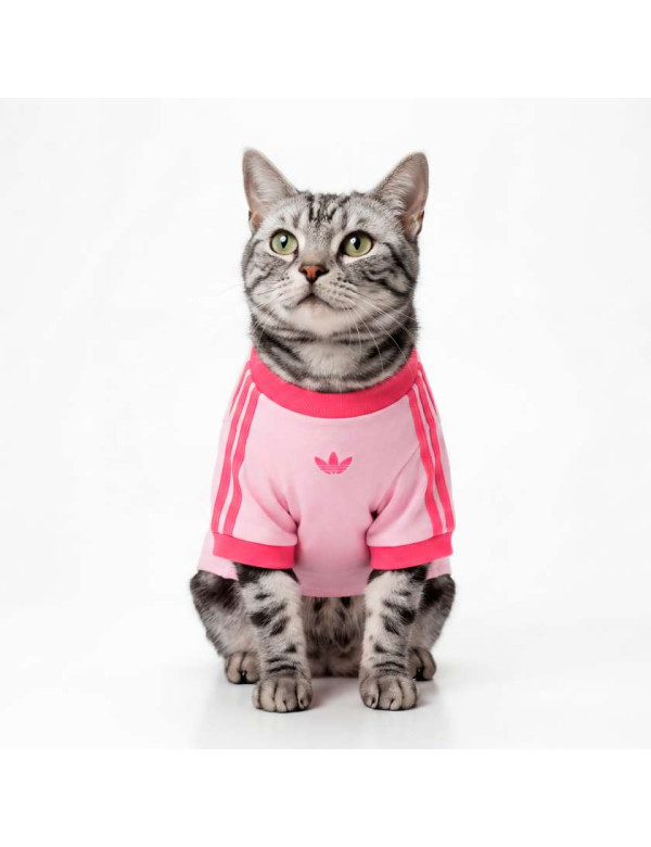 Футболка для домашніх тварин PET CALI