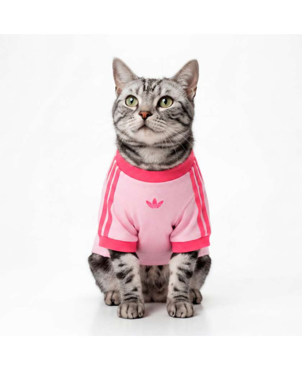 Футболка для домашніх тварин PET CALI