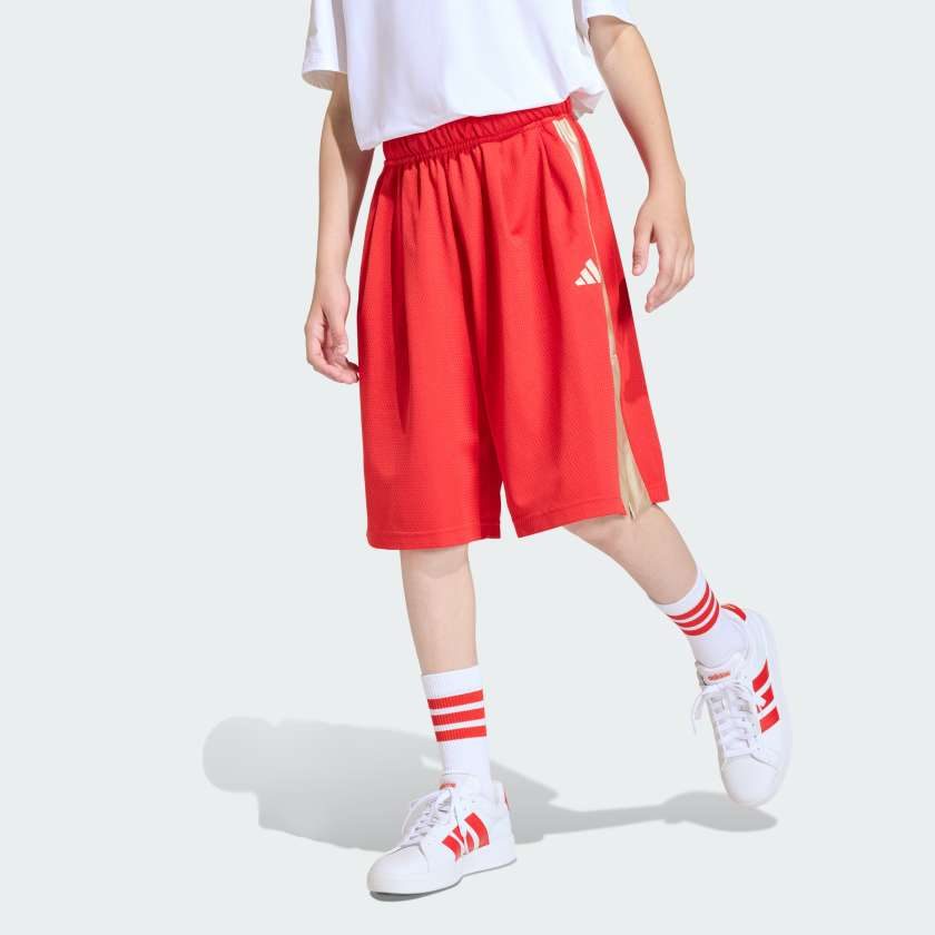 Шорты Stadium Mesh