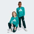 Комплект: світшот і джогери Essentials Kids