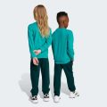 Комплект: світшот і джогери Essentials Kids