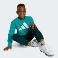 Комплект: світшот і джогери Essentials Kids